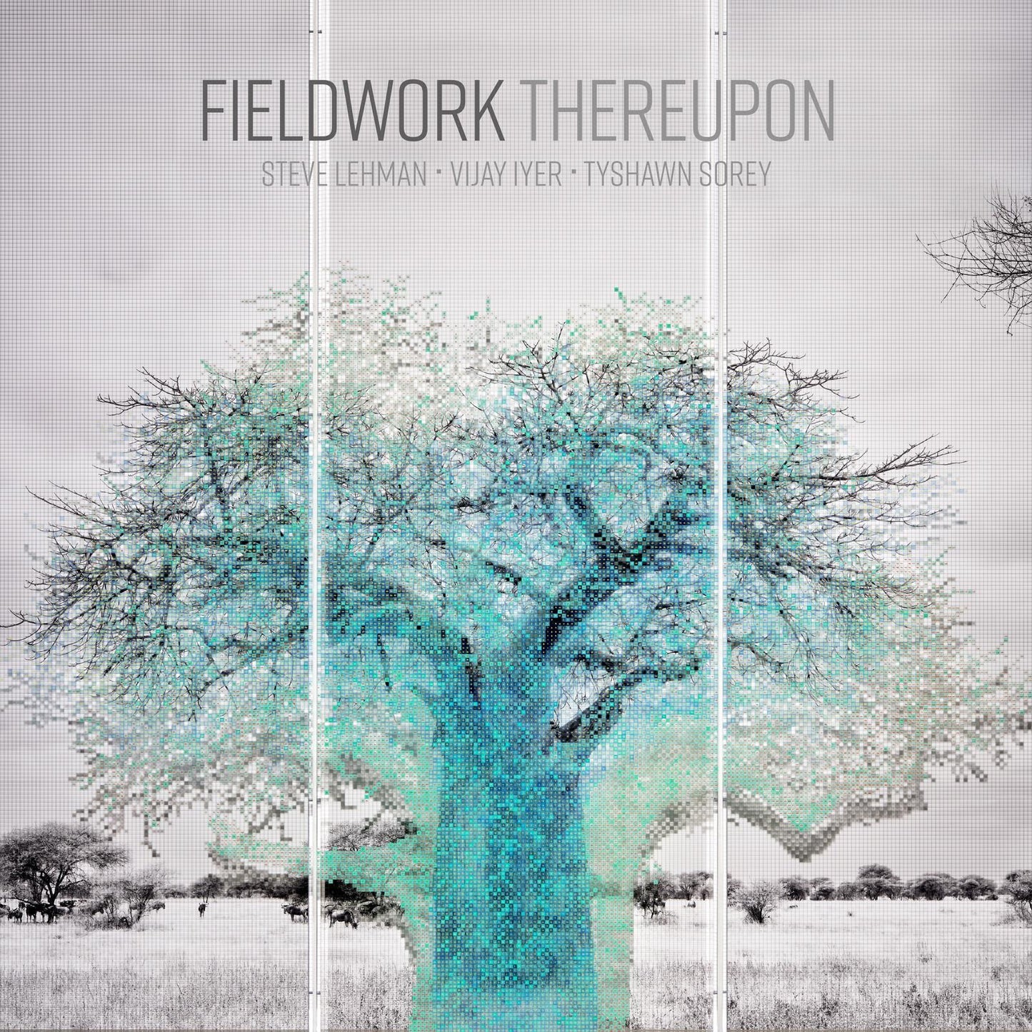 Fieldwork - Thereupon - Cd