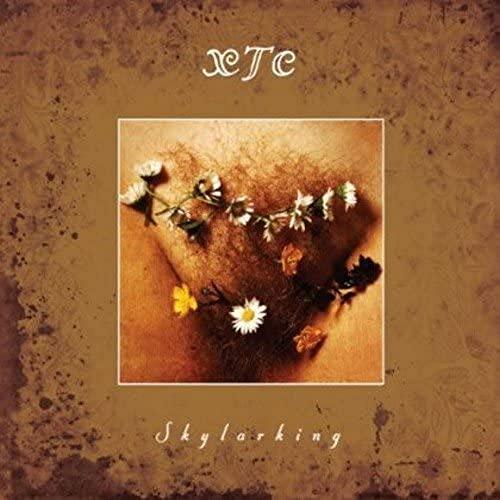 XTC - Skylarking - Cd