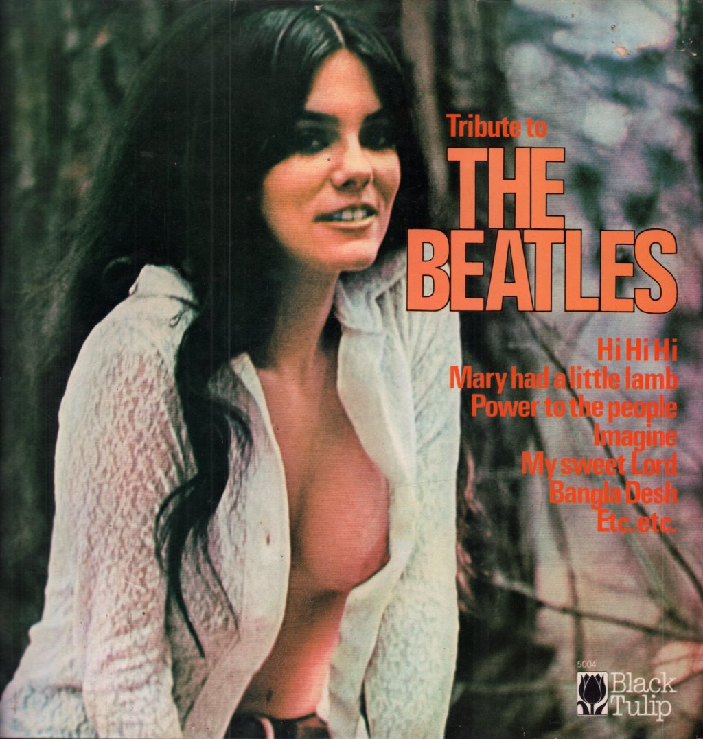 Unknown Artist - Tribute To The Beatles - Lp