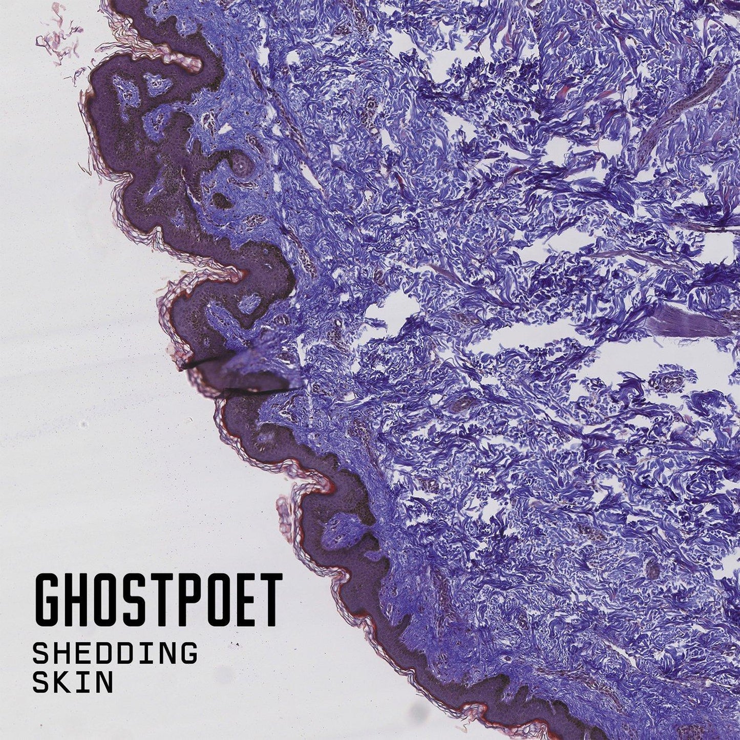 Ghostpoet - Shedding Skin - Lp
