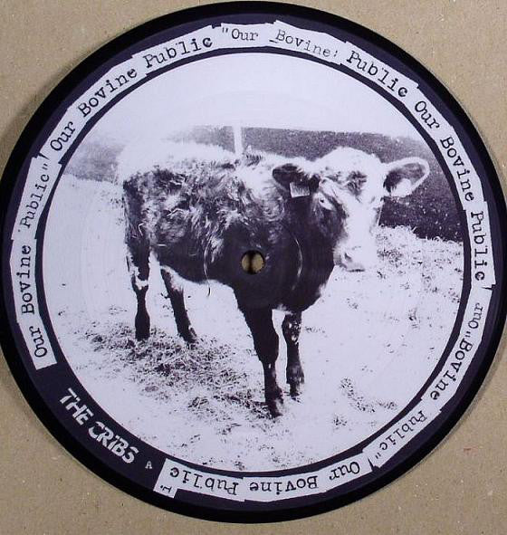 Cribs - Don't You Wanna Be Relevant? - 7 Inch