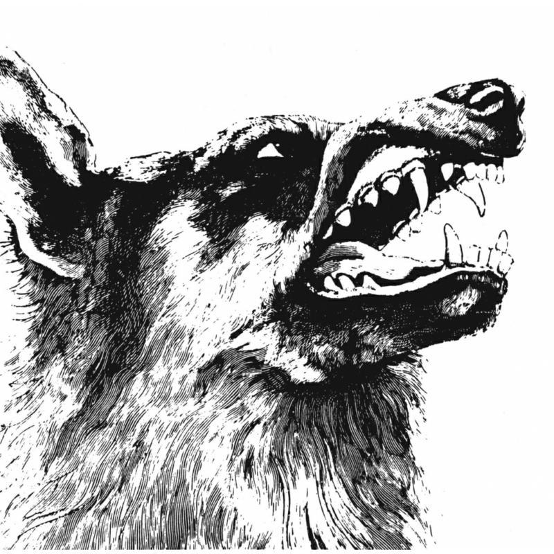Crippled Black Phoenix - I, Vigilante - Cd