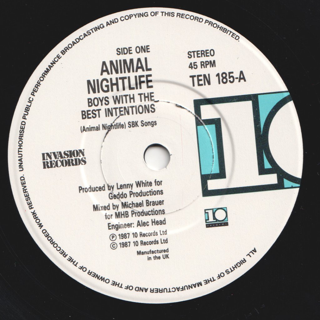 Animal Nightlife - Boys With The Best Intentions - 7 Inch