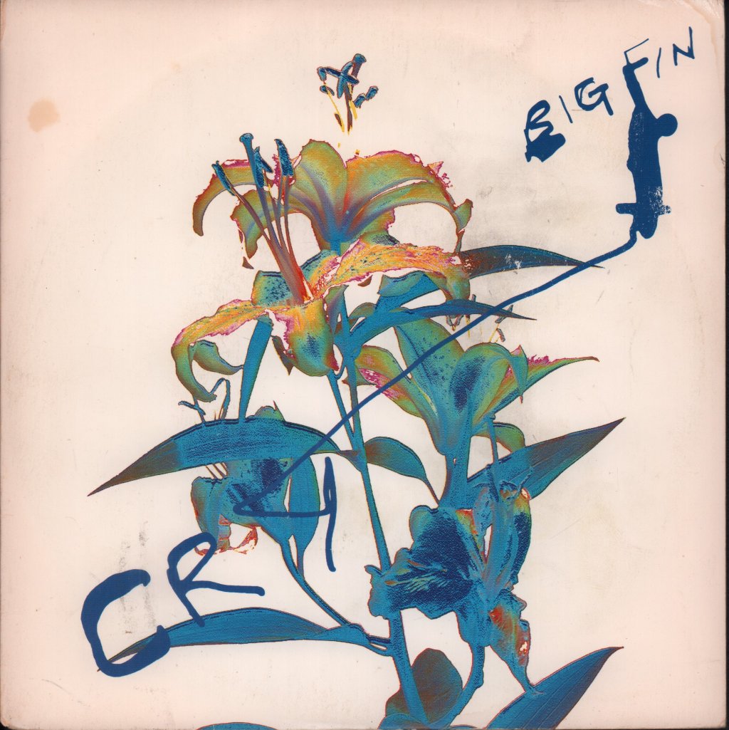 Big Fin - Cry - 7 Inch