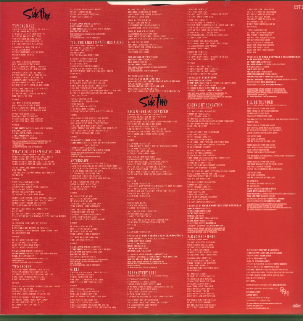 Tina Turner - Break Every Rule - Lp