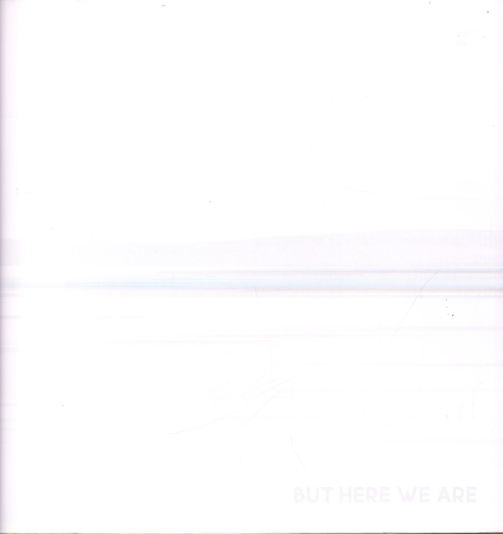 Foo Fighters - But Here We Are - Lp