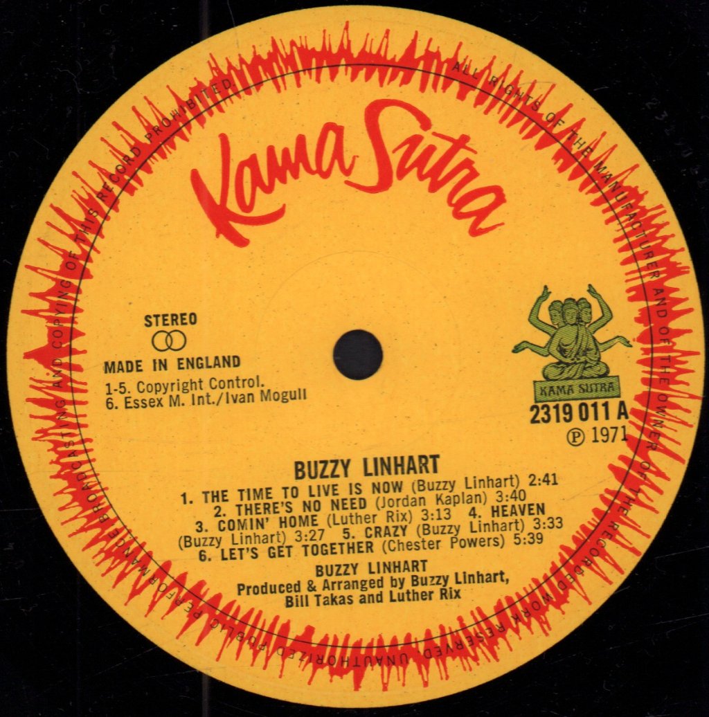 Buzzy Linhart - Time To Live Is Now - Lp
