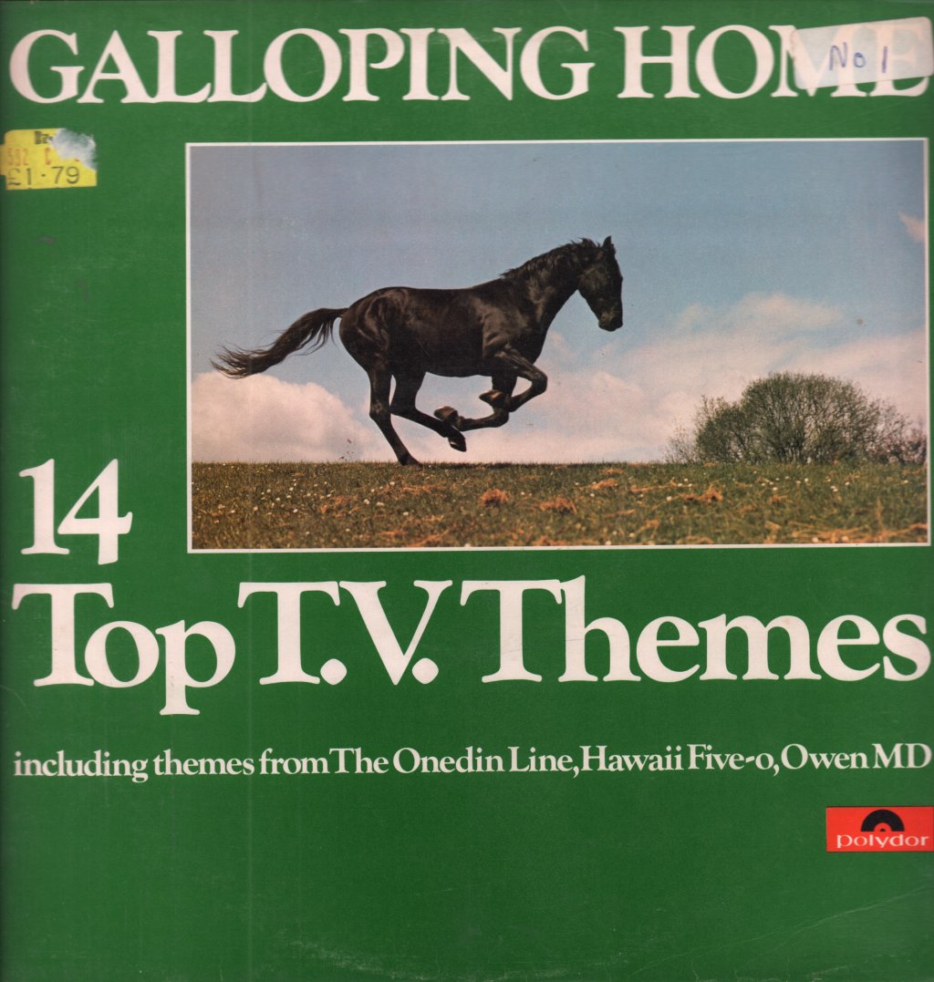 Various Artists - Galloping Home - Lp