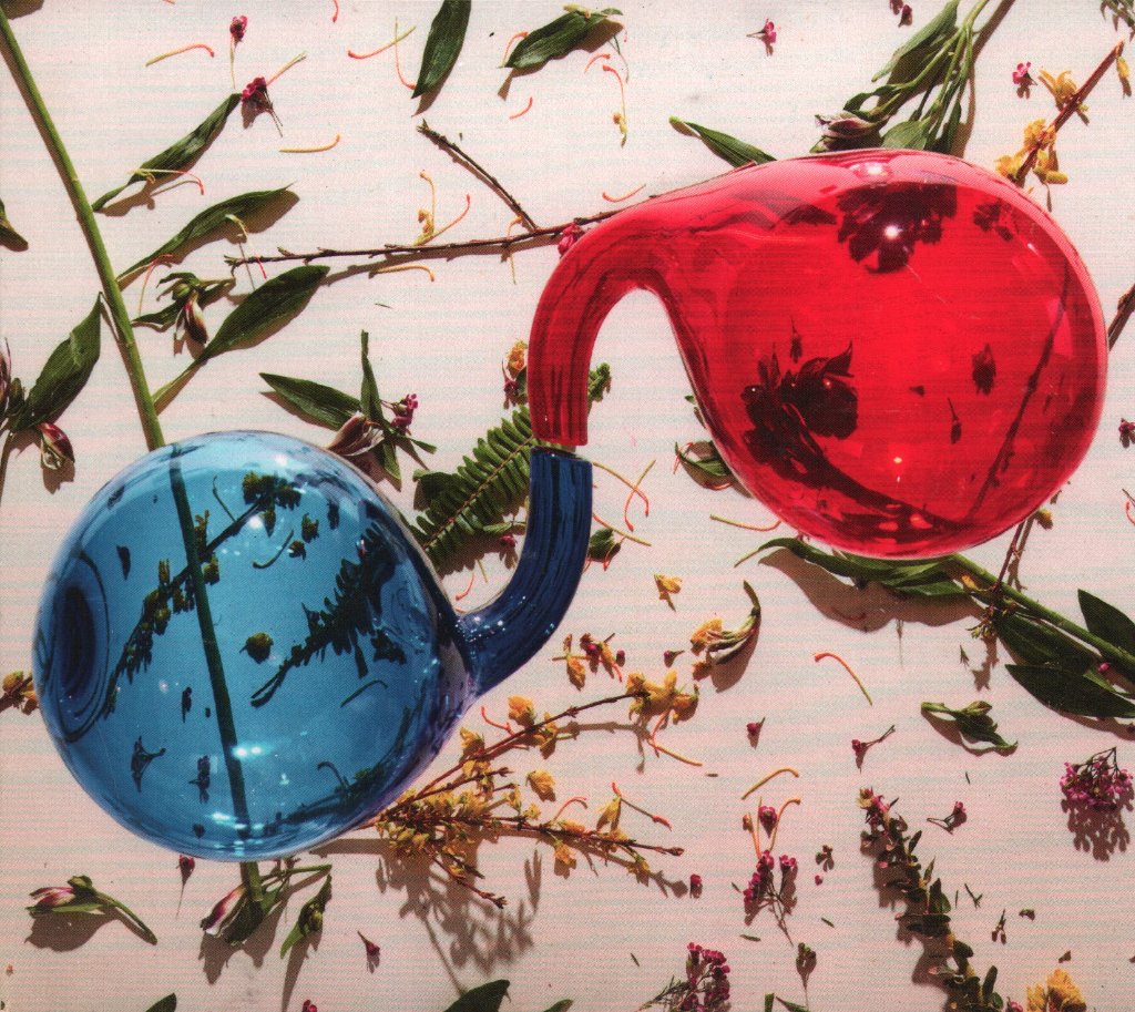 Dirty Projectors - Lamp Lit Prose - Cd