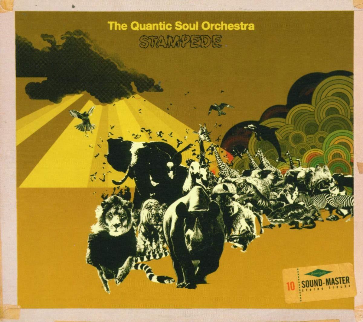 Quantic Soul Orchestra - Stampede - Cd