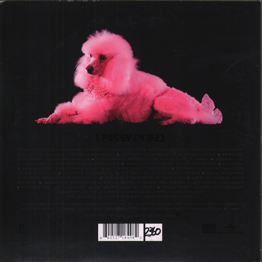 Rammstein - Pussy - 7 Inch