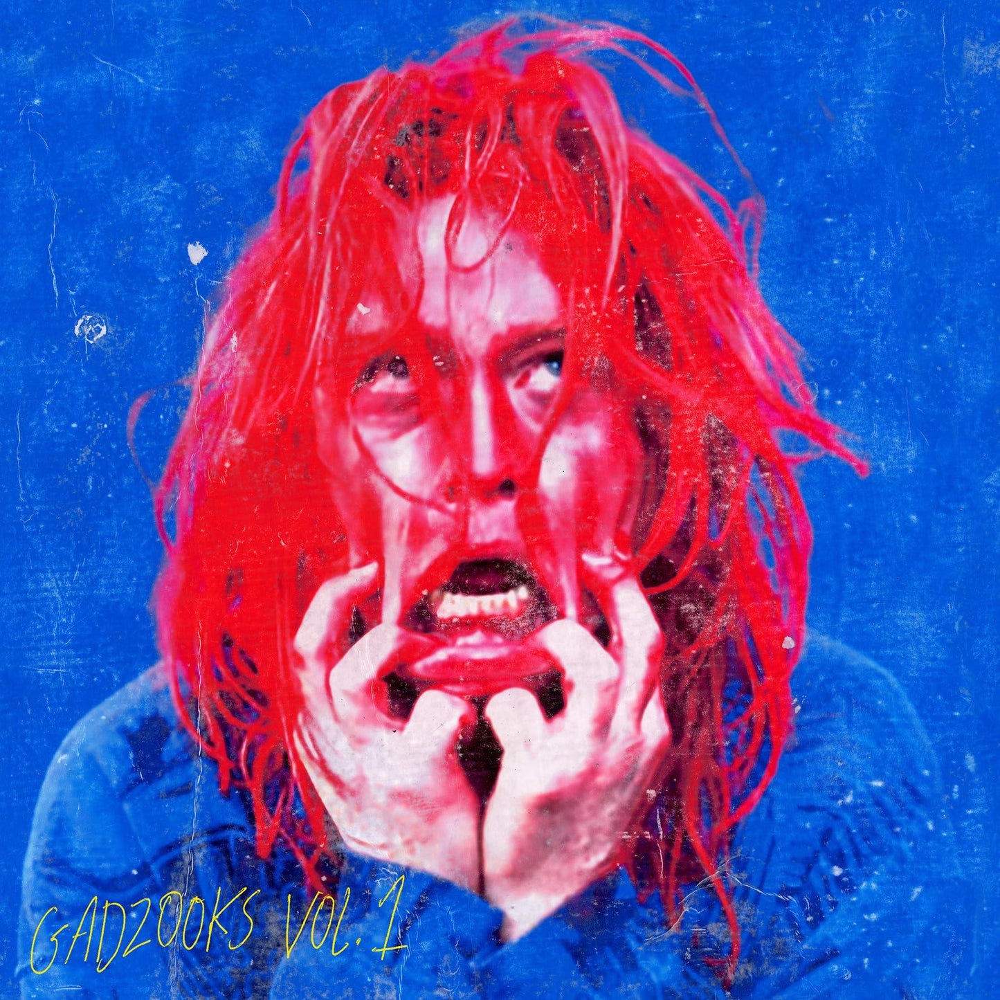 Caleb Landry Jones - Gadzooks Vol. 1 - Cd