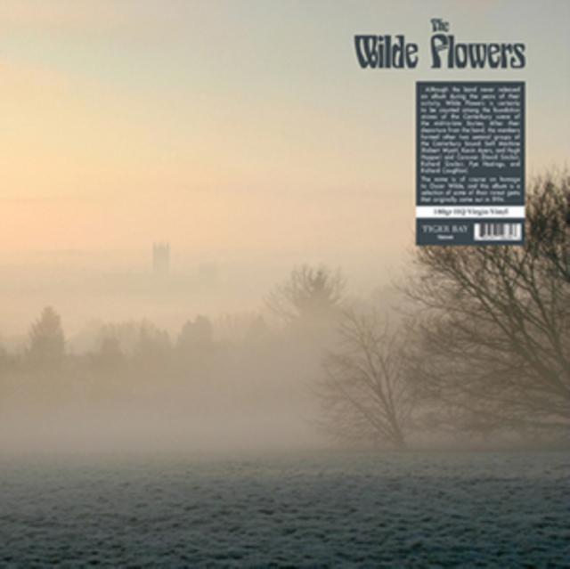 Wilde Flowers - Wilde Flowers - Lp
