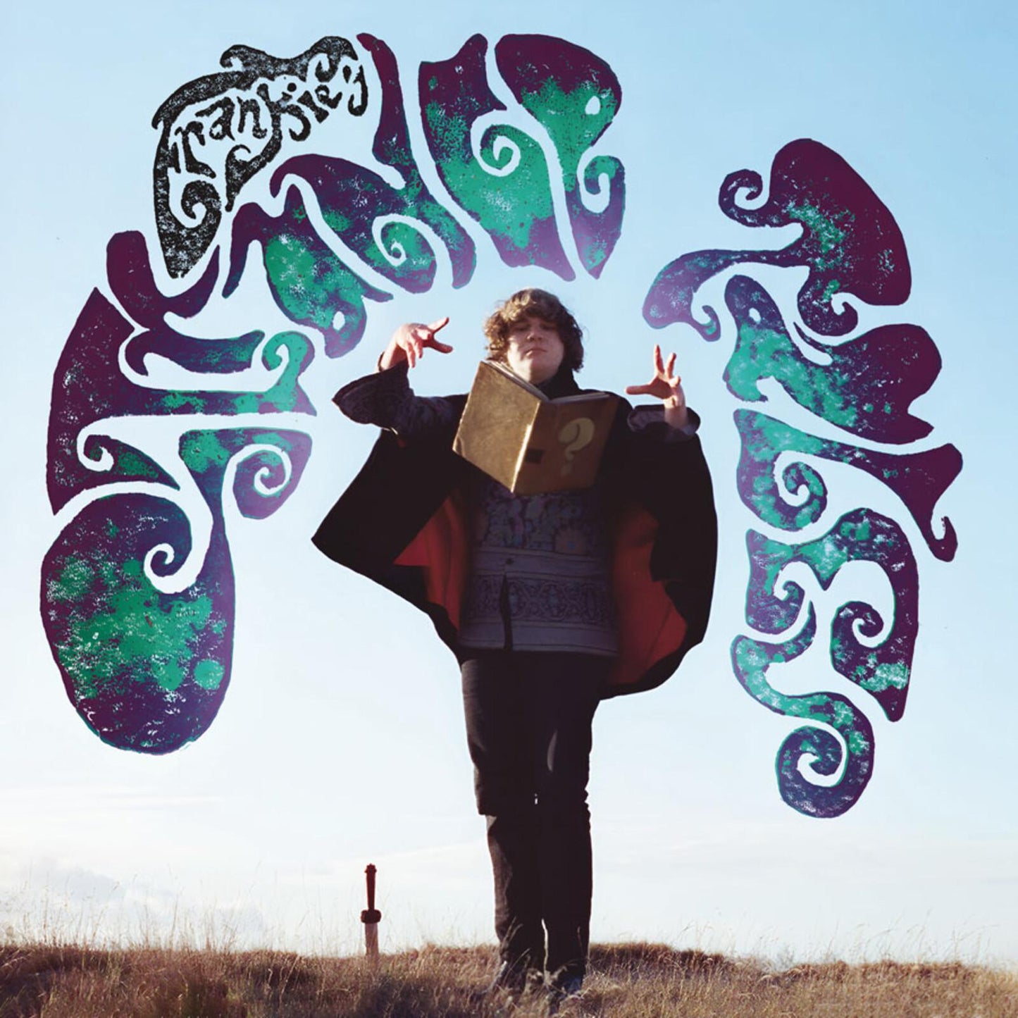 Frankie (soul) - Strange Tales - Lp