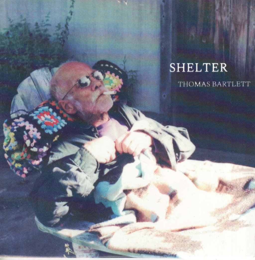 Thomas Bartlett - Shelter - Cdr