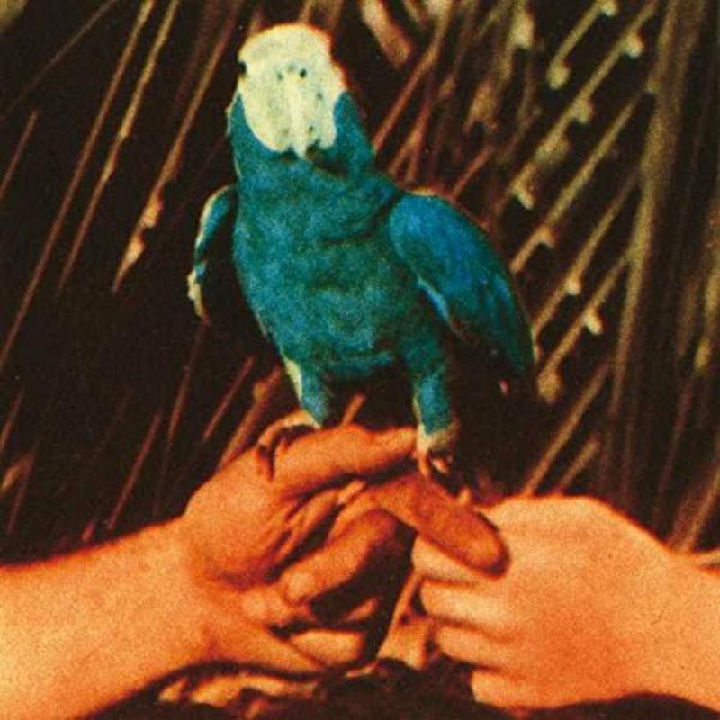 Andrew Bird - Are You Serious - Cd
