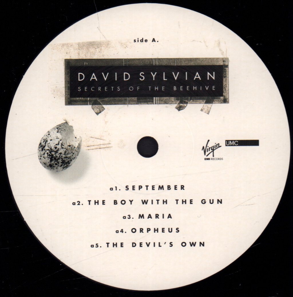 David Sylvian - Secrets Of The Beehive - Lp