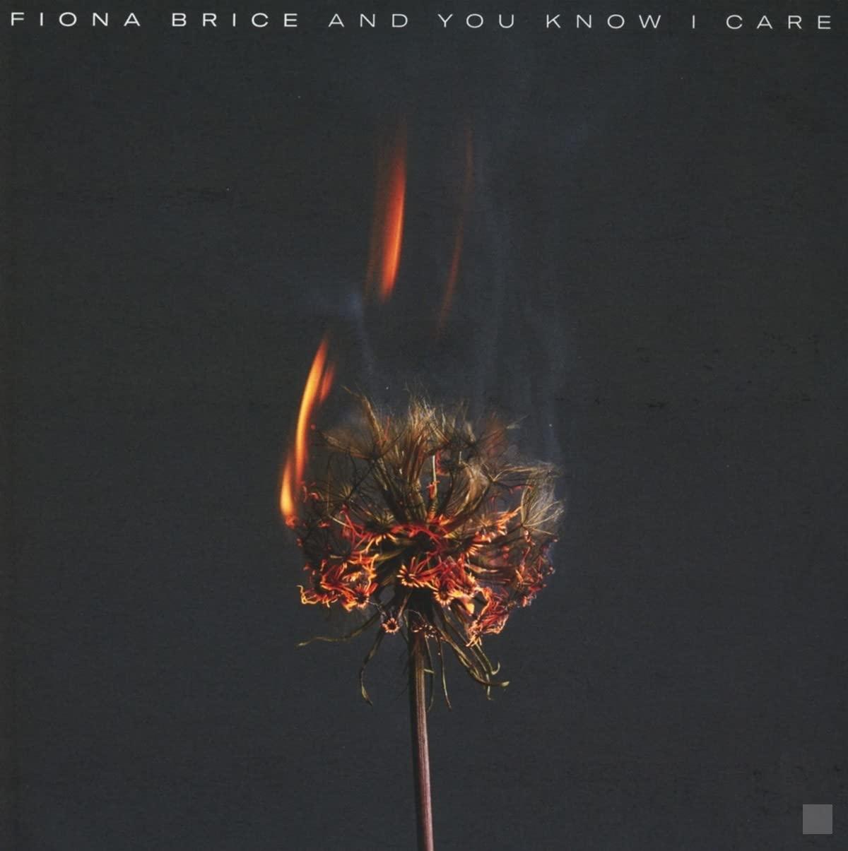 Fiona Brice - And You Know I Care - Cd