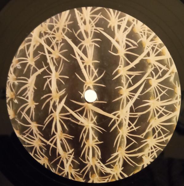 Fair Ohs - Everything Is Dancing - Lp