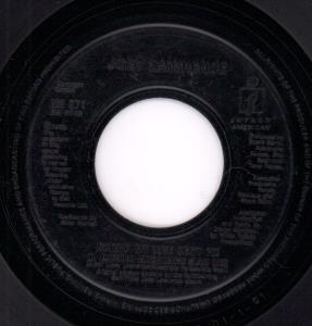 Joey Lawrence - Nothin' My Love Can't Fix - 7 Inch