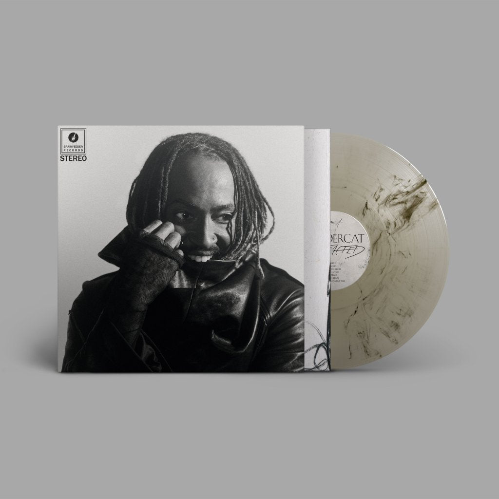 Thundercat - Distracted - Lp