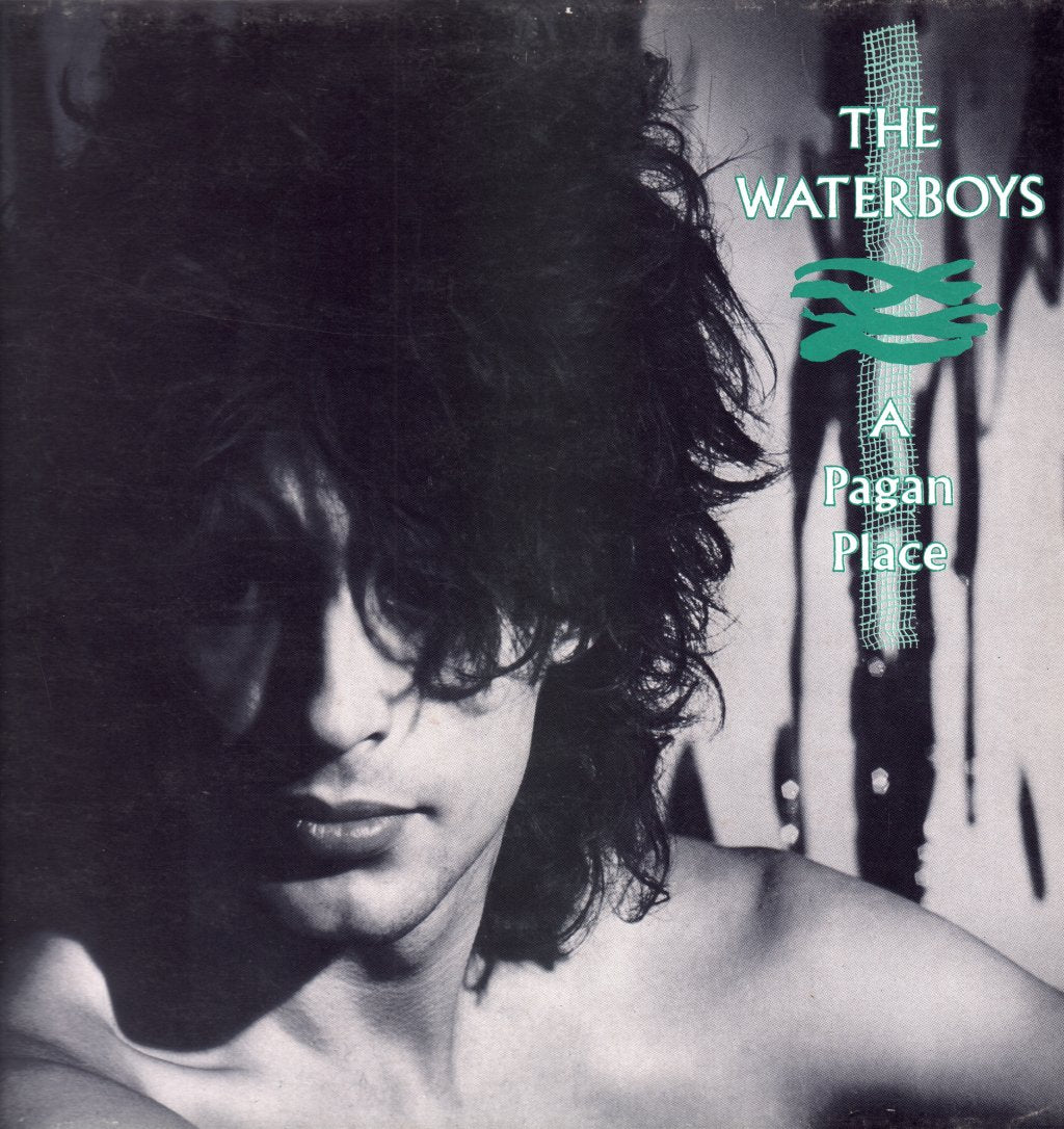 Waterboys - A Pagan Place - Lp