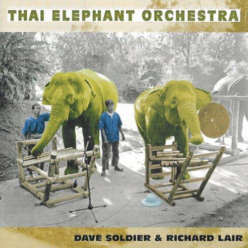 Thai Elephant Orchestra - Thai Elephant Orchestra - Double Lp