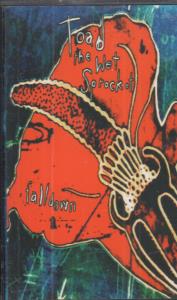 Toad The Wet Sprocket (Us) - Fall Down - Cassette