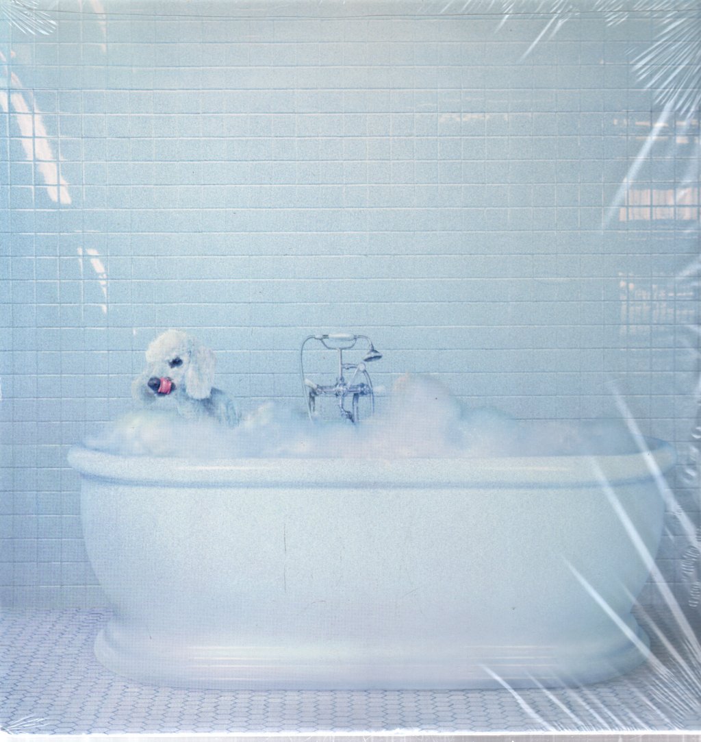 Frankie Cosmos - Vessel - Lp