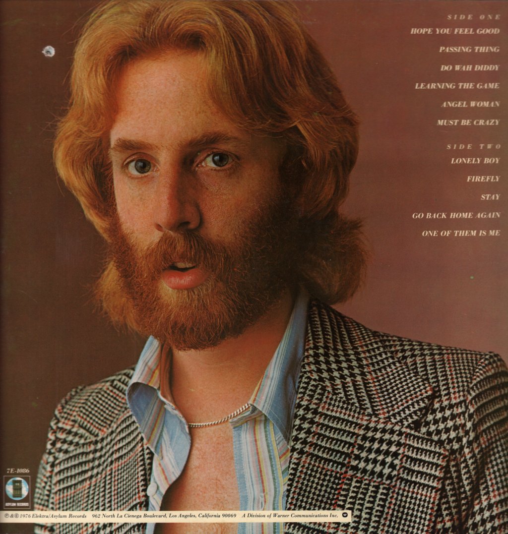 Andrew Gold - What's Wrong With This Picture - Lp