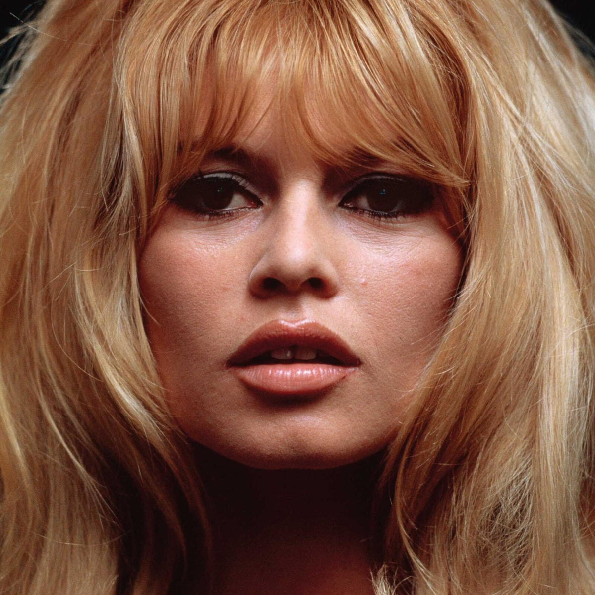 Brigitte Bardot - La Belle Et Le Blues - Cd