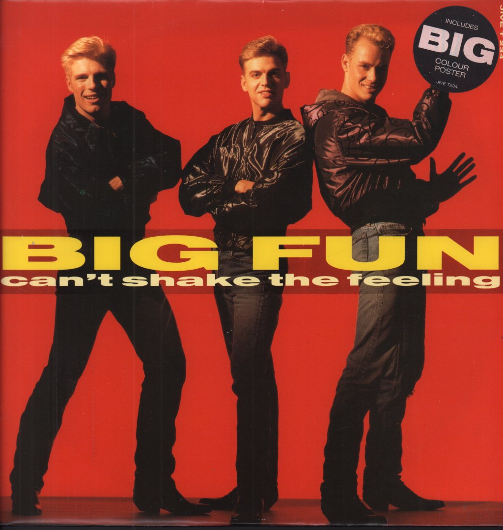 Big Fun - Can't Shake The Feeling - 12 Inch