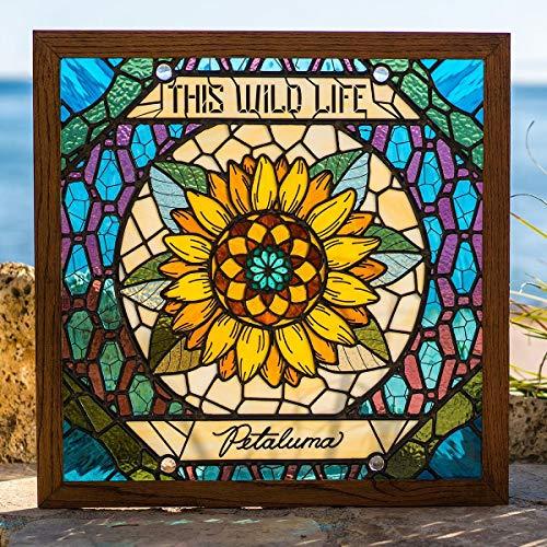 This Wild Life - Petaluma - Cd