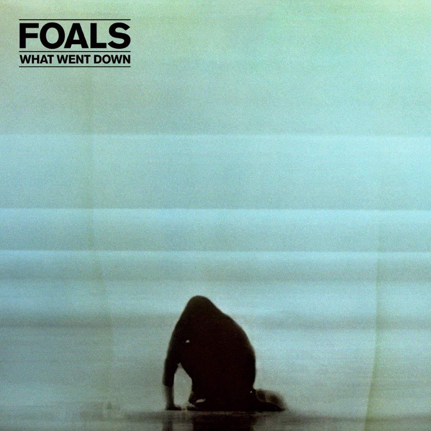 Foals - What Went Down - Double Cd