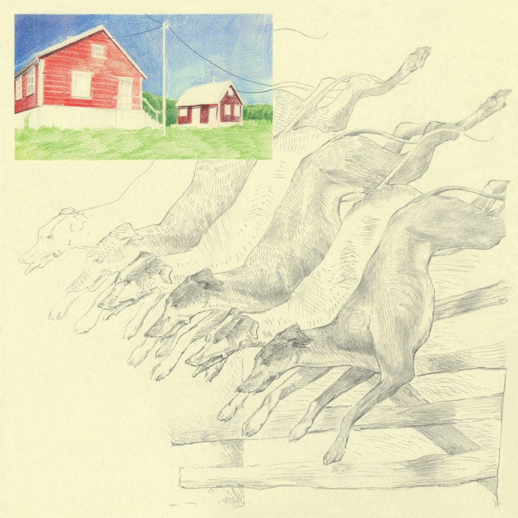 quickly, quickly - I Heard That Noise - Lp