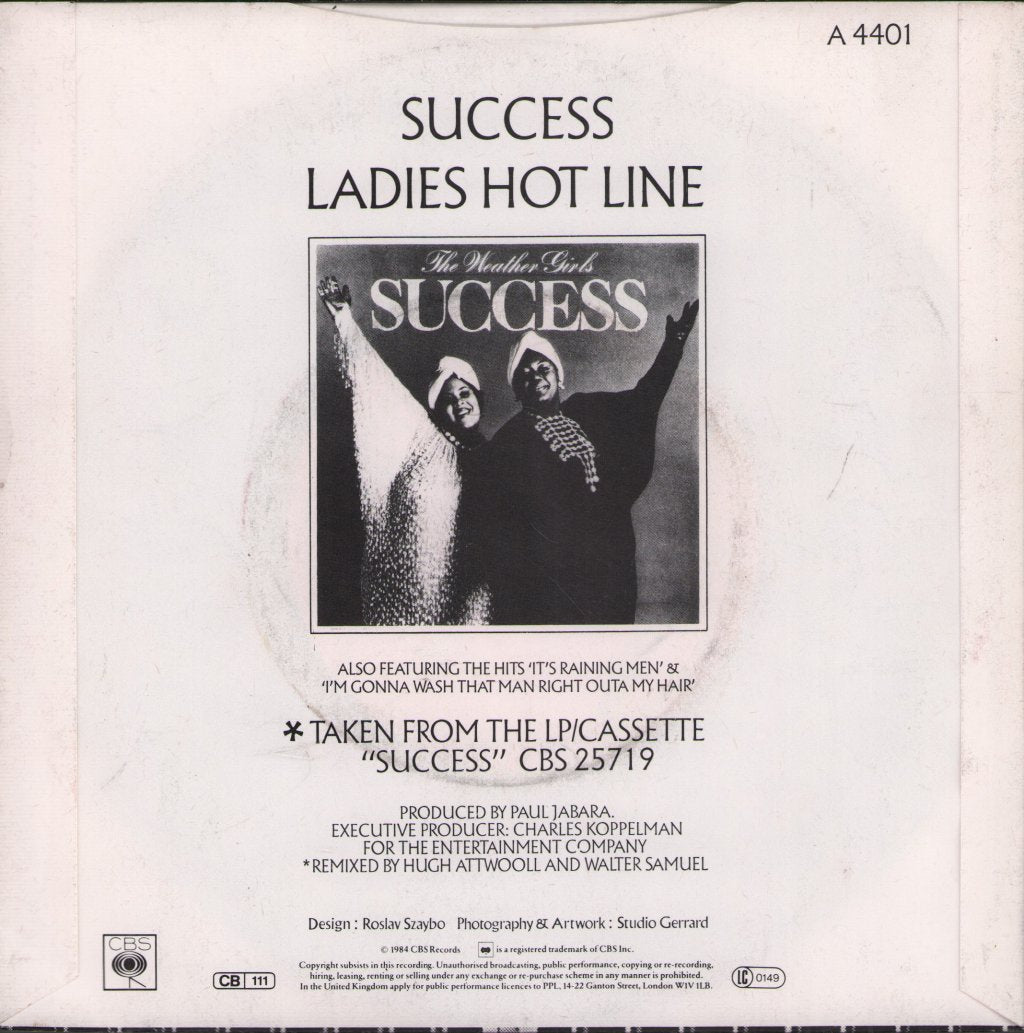 Weather Girls - Success - 7 Inch