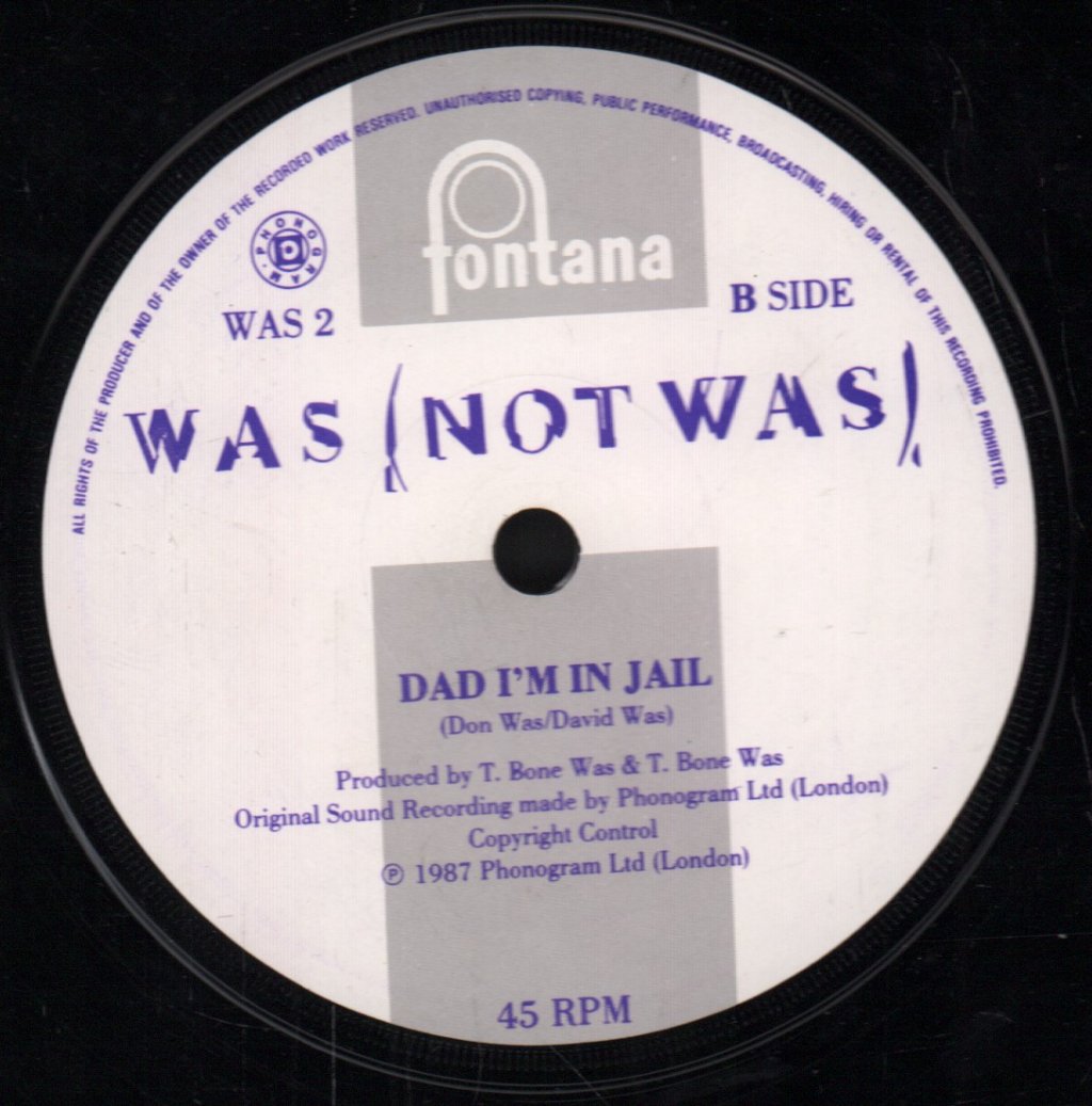 Was Not Was - Spy In The House Of Love - 7 Inch