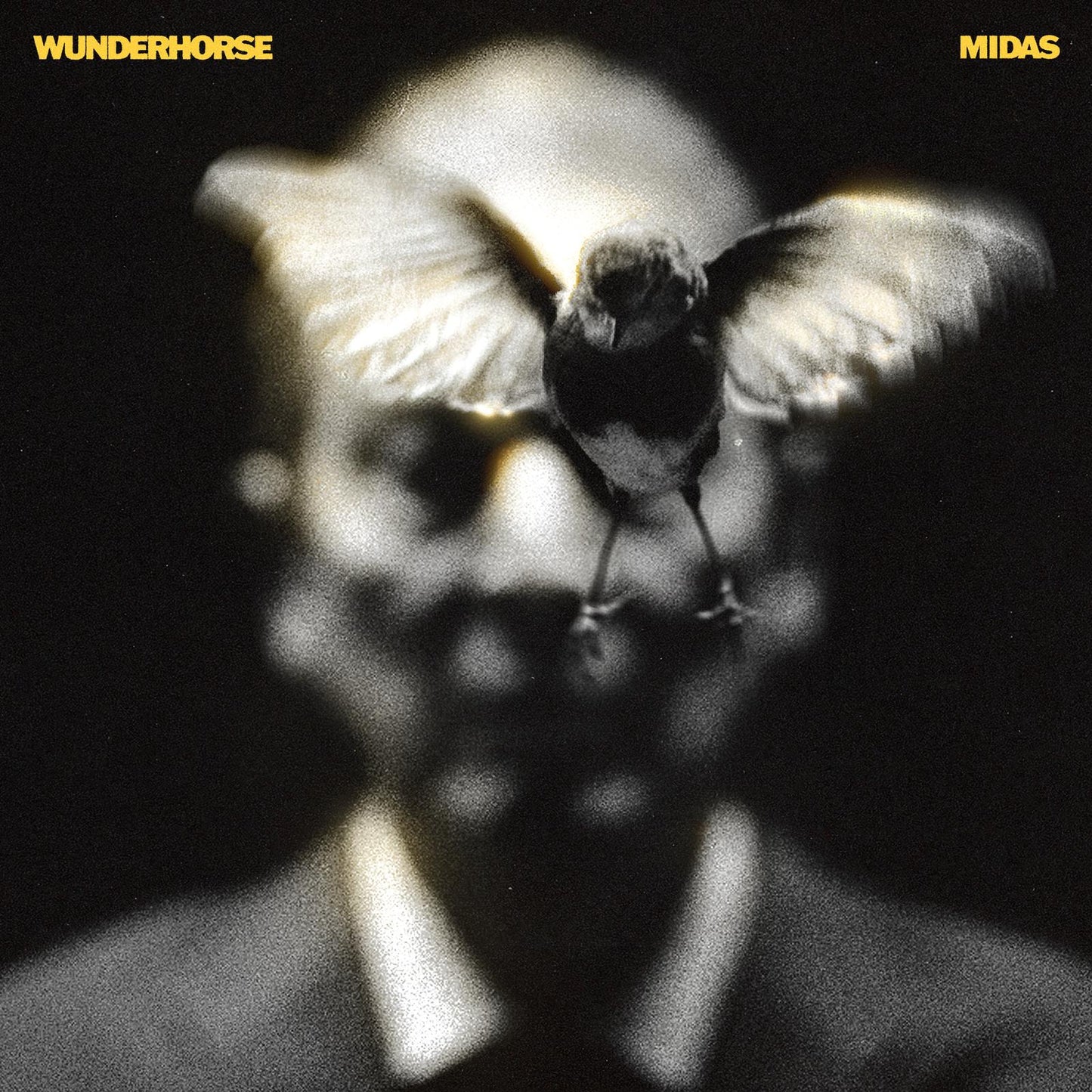 Wunderhorse - Midas - Cassette