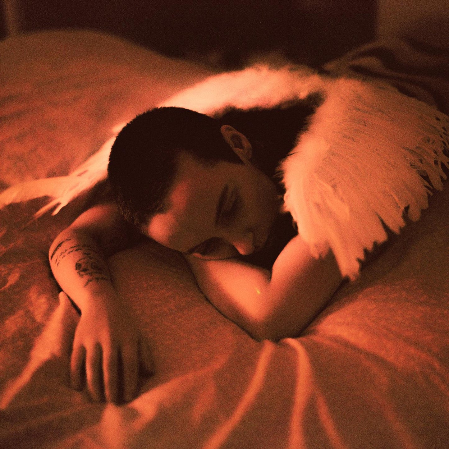 Sea Girls - Midnight Butterflies - Cd