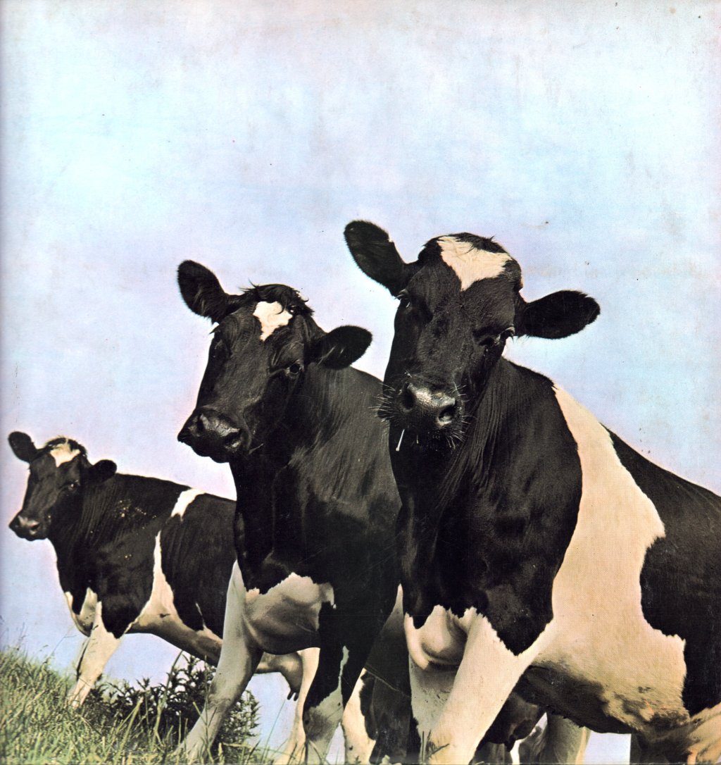 Pink Floyd - Atom Heart Mother - Lp