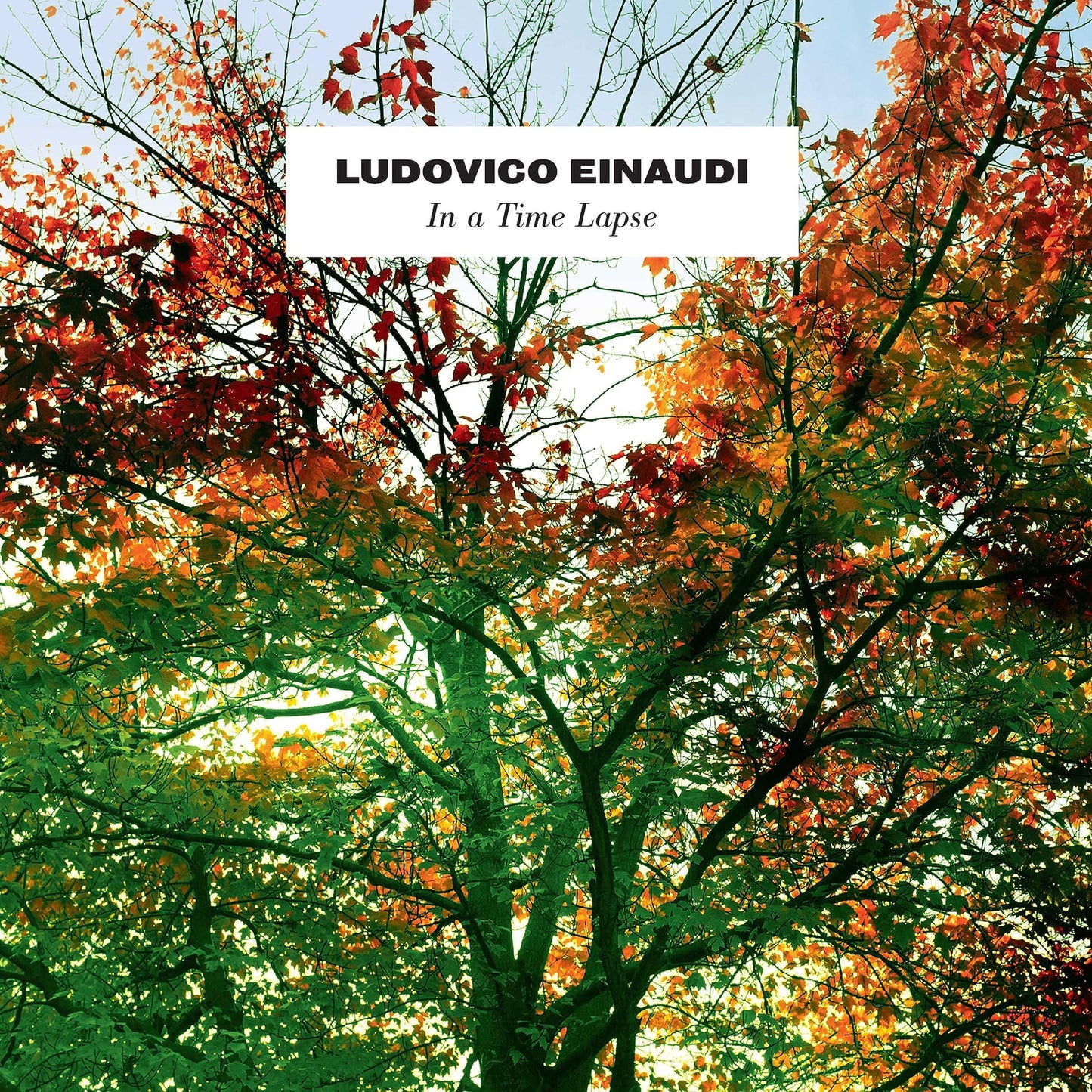 Ludovico Einaudi - In A Time Lapse - Cd