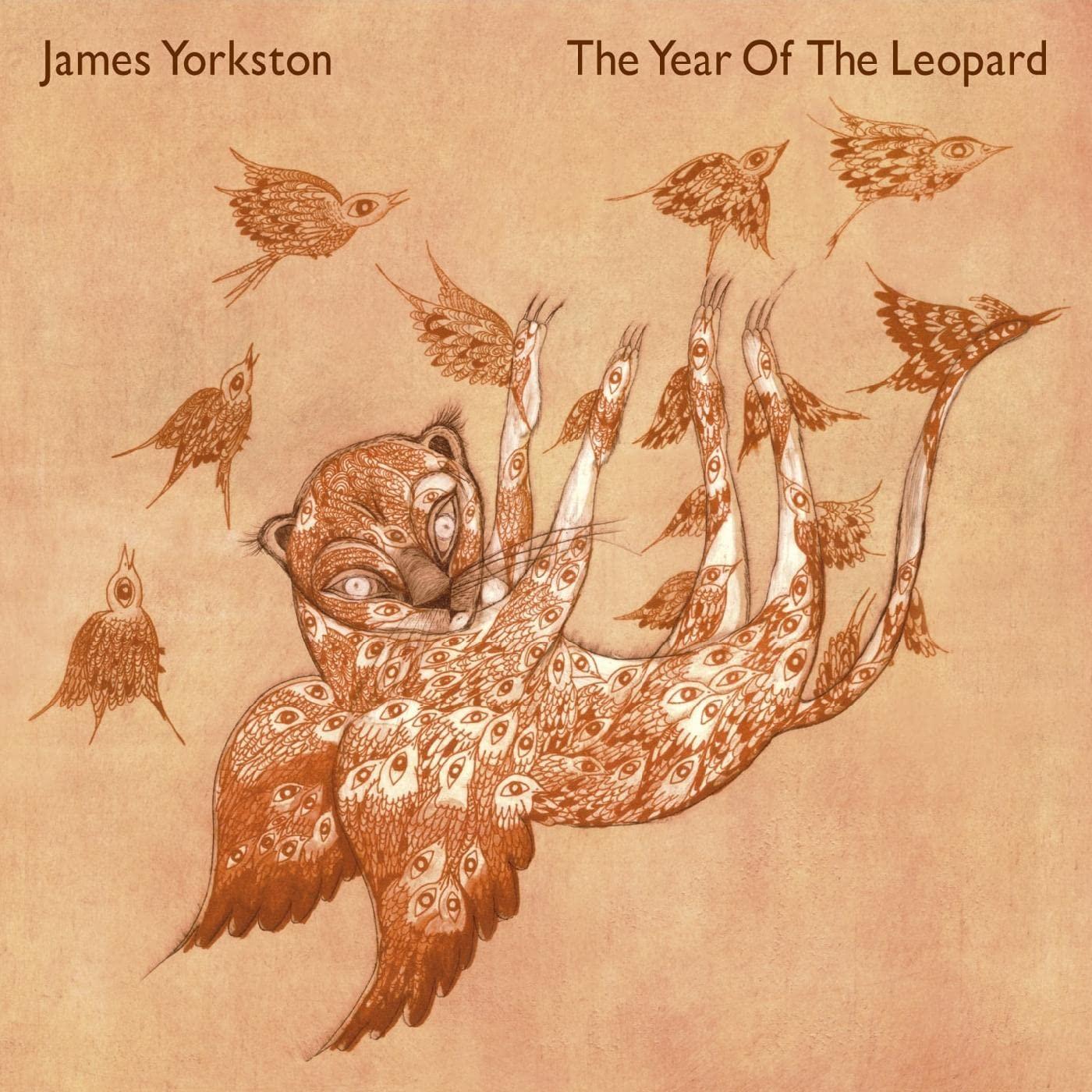 James Yorkston - Year of the Leopard - Double Lp