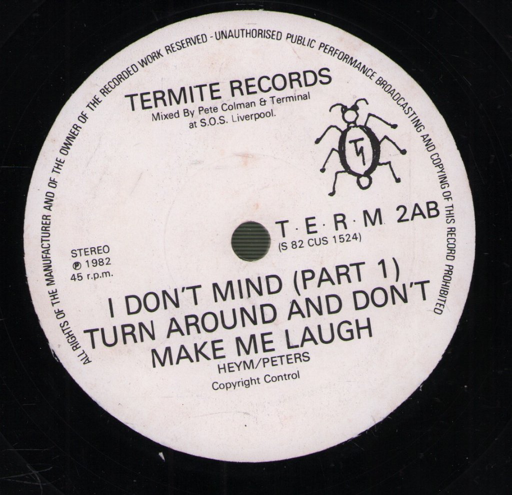 Terminal - Am I Doing It Right - 7 Inch