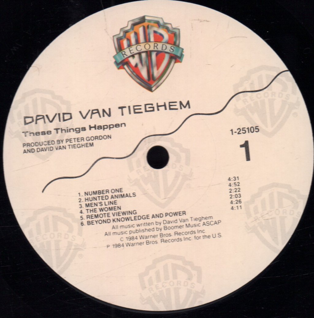 David Van Tieghem - These Things Happen - Lp