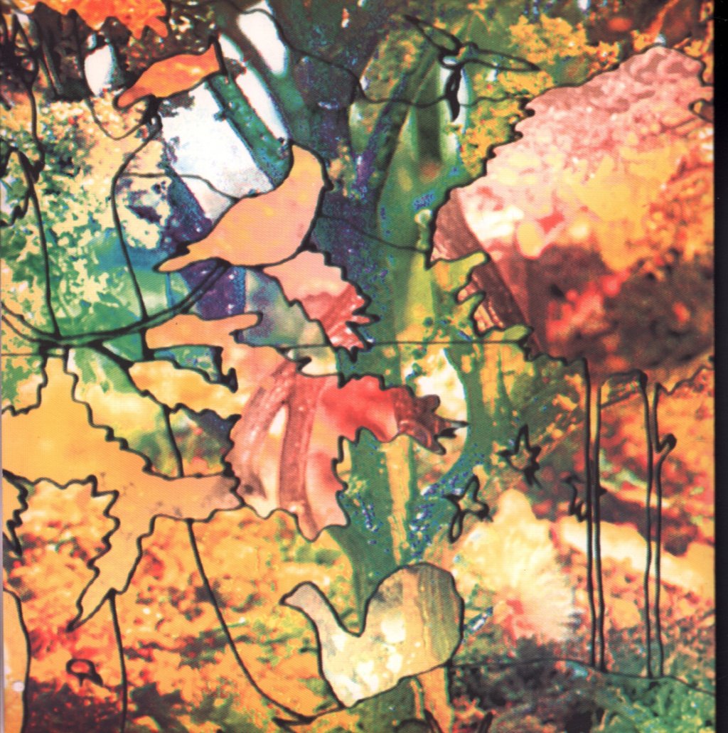 National Forest - Kerrang - 7 Inch