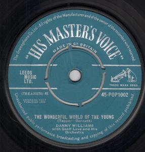 Danny Williams - Wonderful World Of The Young - 7 Inch