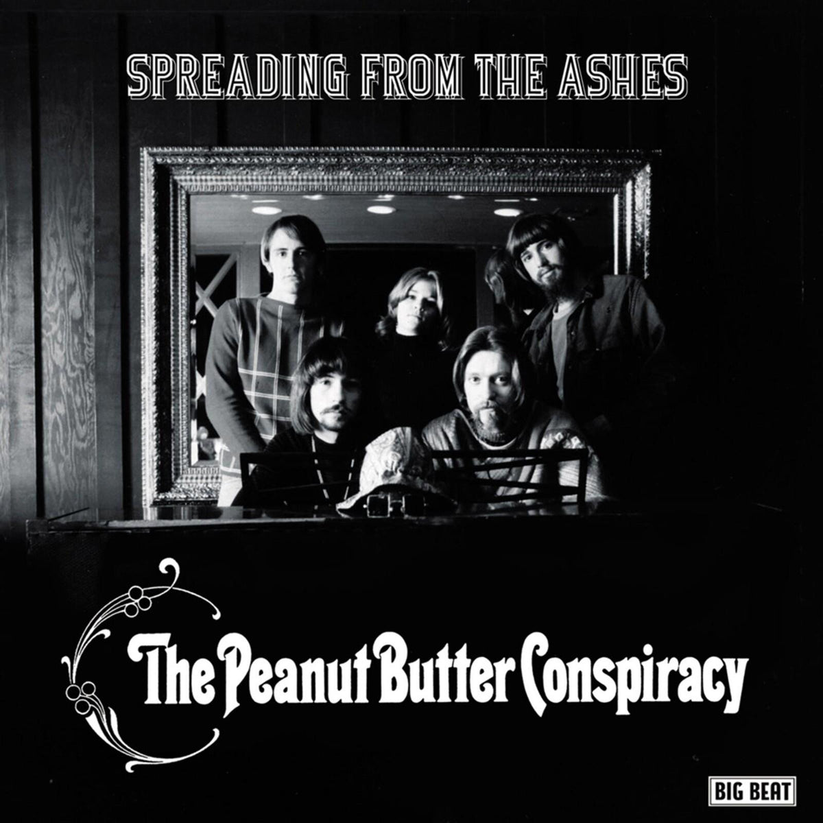 Peanut Butter Conspiracy - Spreading From the Ashes - Cd