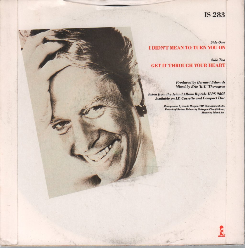 Robert Palmer - I Didn't Mean To Turn You On - 7 Inch