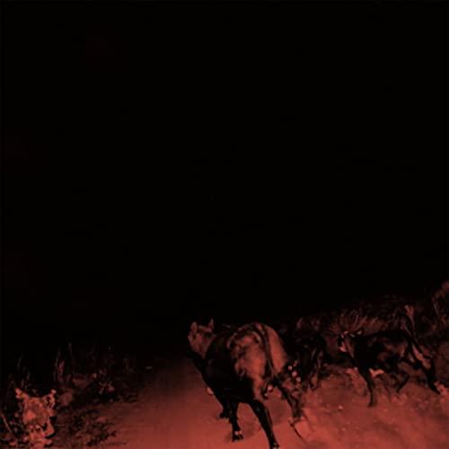 Bambara - Shadow On Everything-Vinyle Blanc - Lp
