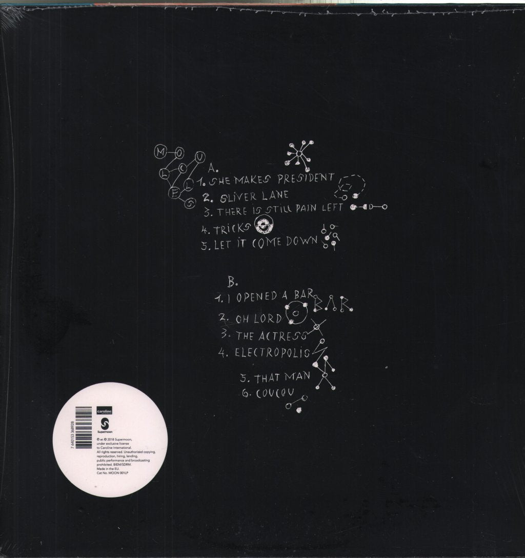 Sophie Hunger - Molecules - Lp